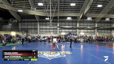 133 lbs Semifinal - Adam Schaeublin, Trinity College (Connecticut) vs Wilson Gomes, Bridgewater State University