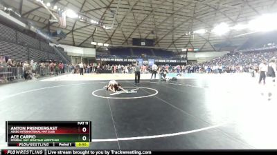 80 lbs Champ. Round 2 - Anton Prendergast, Askeo International Mat Club vs Ace Carpio, Federal Way Spartans Wrestling