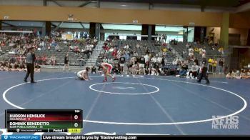 144 lbs Semifinals (8 Team) - Dominik Benedetto, Elgin Public Schools vs Hudson Henslick, Collinsville