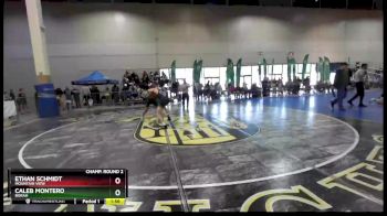 113 lbs Champ. Round 2 - Ethan Schmidt, Mountain View vs Caleb Montero, Borah