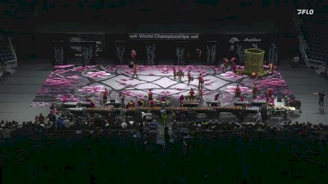 Monarch Independent "Houston TX" at 2024 WGI Percussion/Winds World Championships