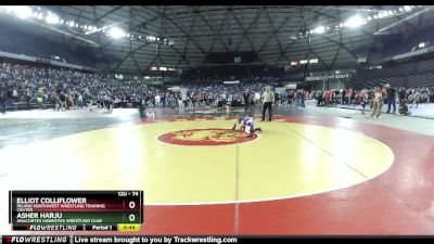 74 lbs Quarterfinal - Asher Harju, Anacortes Hawkeyes Wrestling Club vs Elliot Colliflower, Inland Northwest Wrestling Training Center