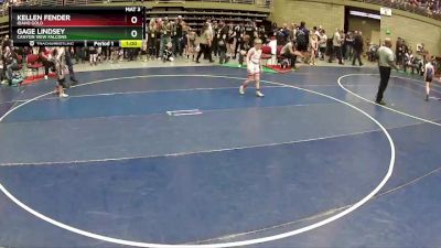 74 lbs Champ. Round 2 - Gage Lindsey, Canyon View Falcons vs Kellen Fender, Idaho Gold