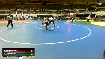 197 lbs Quarters & Wb (16 Team) - Mauro Pellot, Alvernia vs Josiah Murphy, Liberty