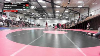 174 lbs Cons. Round 1 - McCaden Skeens, Mount St. Joseph vs Max Wiler, Manchester