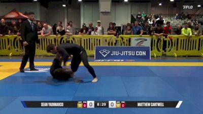 Sean Yadimarco vs Matthew Cantwell 2025 American National IBJJF Jiu-Jitsu Open Championship