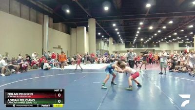 100 lbs Round 3 (6 Team) - Adrian Feliciano, Carolina Hammer Squad vs Nolan Pehrson, Alabama Elite Gold