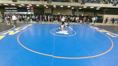 101 lbs Champ. Round 3 - Nolan Freely, Lake Zurich vs Crue Hatchell, Marist