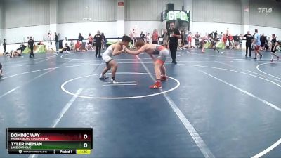 130 lbs Cons. Round 5 - Tyler Ineman, Lake Catholic vs Dominic Way, Parkersburg Cougars WC