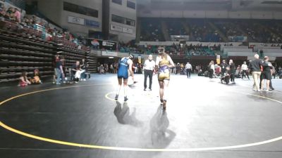 155 lbs Consolation - Elleigh Hall, Batesburg-Leesville vs Audra Petroff, Blythewood