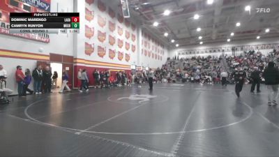 132 lbs Cons. Round 3 - Dominic Marengo, Cincinnati LaSalle vs Camryn Runyon, Mechanicsburg