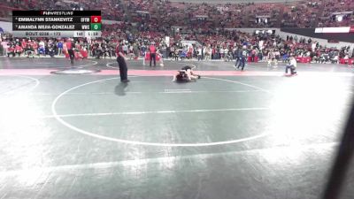 172 lbs Cons. Round 2 - Amanda Mejia-Gonzalez, Waunakee Wrestling Club vs Emmalynn Stankevitz, Oconto Falls/Abrams Youth Wrestling