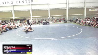 126 lbs Round 3 (8 Team) - Grady Roybal, Utah Gold vs Alois Schlumpf, Wisconsin