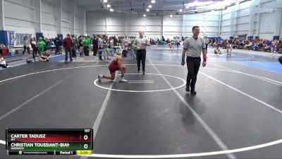 157 lbs Champ. Round 1 - Carter Tadusz, RIT vs Christian Toussiant-Bianco, Norwich