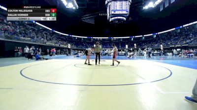 160 lbs Consy 2 - Colton Hillegass, Chestnut Ridge vs Dallin Horner, Derry