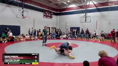 150 lbs Round 3 - Gavin Farnum, White Knoll Youth Wrestling vs Preston Vacari, Cobra Wrestling Club