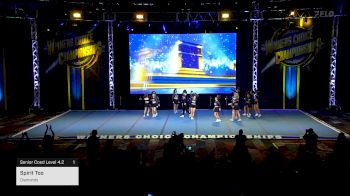 Spirit Too - Diamonds [2025 Senior Coed Level 4.2 1] 2025 Winners Choice Live at Foxwoods