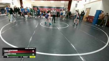 113 lbs Cons. Round 5 - Zayden Stahl, Lovell vs Cale Pfisterer, Wind River