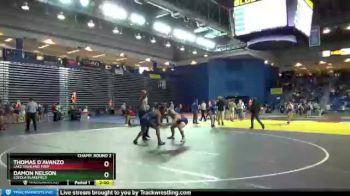 195 lbs Champ. Round 2 - Thomas D`avanzo, Lake Highland Prep vs Damon Nelson, Loyola Blakefield