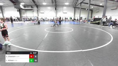 65 lbs Rr Rnd 3 - Cohen Chastain, Guerrilla Wrestling Academy vs Levi Wilson, Level Up Wrestling Center - (A)