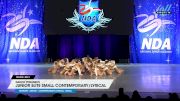 Dance Dynamics - Junior Elite Small Contemporary/Lyrical [2025 Junior - Contemporary/Lyrical - Small Day 1] 2025 NDA All-Star National Championship