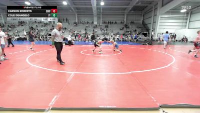 126 lbs Rr Rnd 3 - Carson Roberts, CentralMD Blue vs Cole DeAngelo, Filipe Trained Wrestling Academy