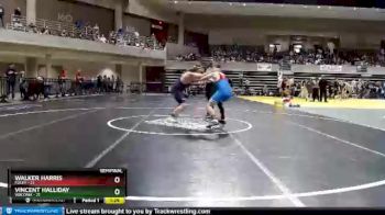 235 lbs Semis & 1st Wrestleback (8 Team) - Vincent Halliday, Waconia vs Walker Harris, Foley