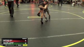 65 lbs Round 3 (4 Team) - Michael Levine, Cordoba Trained vs Matthew Bly, Mat Assassins