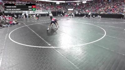 D1-126 lbs Quarterfinal - Alois Schlumpf, Bay Port vs Aidan Aure, Menomonie