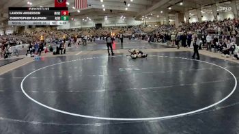 106 lbs Semis & 1st Wb (8 Team) - Christopher Baldwin, Anderson Co. High School vs Landon Anderson, Millington Central High School