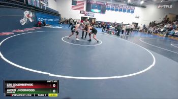 215 lbs Champ. Round 2 - Ayden Underwood, Douglas vs Leo Golembiewski, Chadron