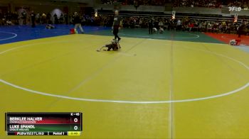 45 lbs Champ. Round 1 - Berklee Halver, Chaska/Chanhassen vs Luke Spandl, LPGE/B Wolves