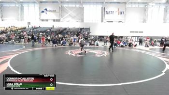 81 lbs Quarterfinal - Connor McAllister, Horseheads Youth Wrestling vs Cole Willis, Brawlers Elite