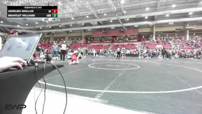 120 lbs Quarterfinals (8 Team) - Anselmo DeOllos, Drip Kings vs Brantley Williams, Kansas Mayhem