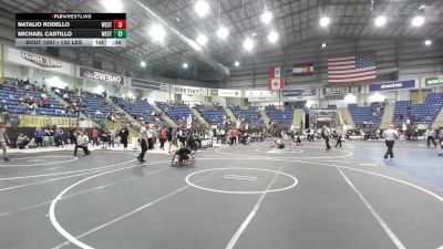 132 lbs Consi Of 16 #2 - Natalio Rodello, Westy Wolves vs Michael Castillo, Westy Wolves