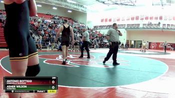 285 lbs Semifinal - Antonio Bottiggi, Painesville Riverside vs Asher Wilson, Nordonia