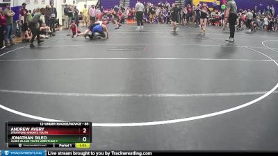 85 lbs Quarterfinal - Andrew Avery, Stratford Knights Youth vs Jonathan Dileo, James Island Youth Wrestling C