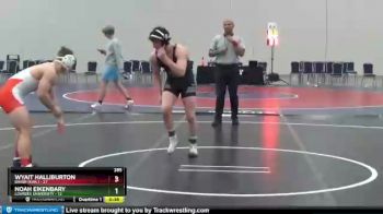141 lbs Finals (2 Team) - Nickalas Henneman, Lourdes University vs Bradley Owens, Brewton-Parker (GA)