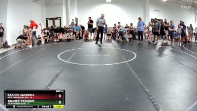 64 lbs Finals (2 Team) - Tanner Pregent, Journeymen Blue vs Kaiden Galindez, Backyard Brawlers