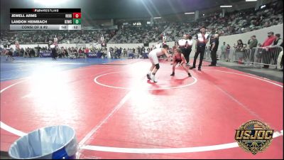 76 lbs Consi Of 8 #2 - Jewell Arms, Redskins Wrestling Club vs Landon Heimbach, D3 Wrestling Cluib