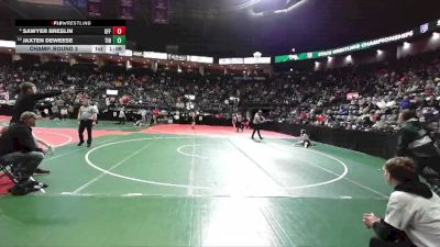 102 lbs Champ. Round 3 - Jaxten DeWeese, TIN3 vs Sawyer Breslin, GFF3