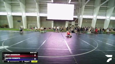 119 lbs Semifinal - Uriah Anderson, UT vs Tristen Roberts, UT