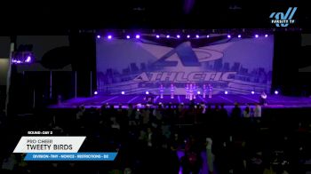 Pro Cheer - Tweety Birds [2025 L1 Tiny - Novice - Restrictions - D2 Day 2] 2025 Athletic Championships Atlanta Nationals