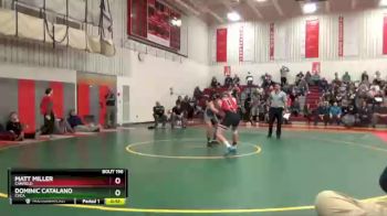 138 lbs 5th Place Match - Dominic Catalano, Cvca vs Matt Miller, Canfield