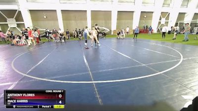 97 lbs Cons. Round 1 - Anthony Flores, ID vs Mace Harris, CO