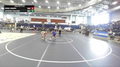138 lbs Round 2 (3 Team) - Virgil Joseph, Webster Schroeder High Sch vs Anthony Pallone, West Genesee Sr HS