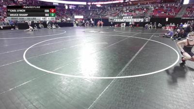 132 lbs Champ. Rd Of 16 - Deuce Sharp, West Allis Central vs Cael Lynch, Cedarburg