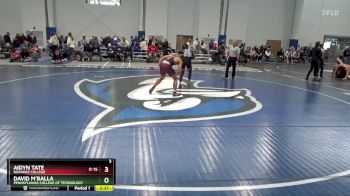 141 lbs Cons. Round 2 - Aidyn Tate, Roanoke College vs David M`Balla, Pennsylvania College Of Technology