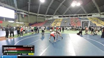 132 lbs Champ. Round 2 - Erik Rodriguez, IL vs Davis Parrow, MN