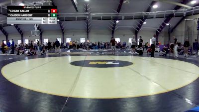 125 lbs Champ. Round 2 - Caiden Harbert, West Liberty vs Logan Sallot, Gannon University
